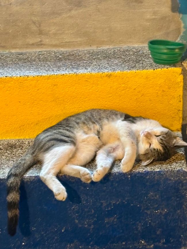 Cartagena de Indias & the End! 