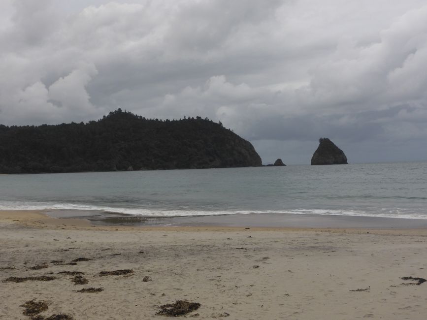 2025-04-11 NZ, Coromandel