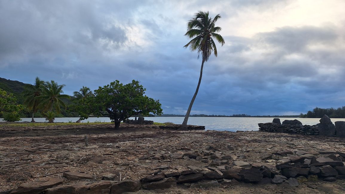 Überreste einer heiligen Stätte auf Huahine // remains of a sacred site on Huahine