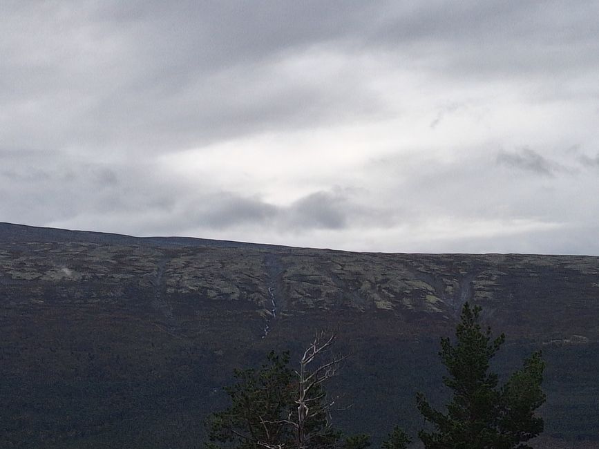 Etiqueta 14 Viaje en tren Bodö-Trondheim-Andalsnes