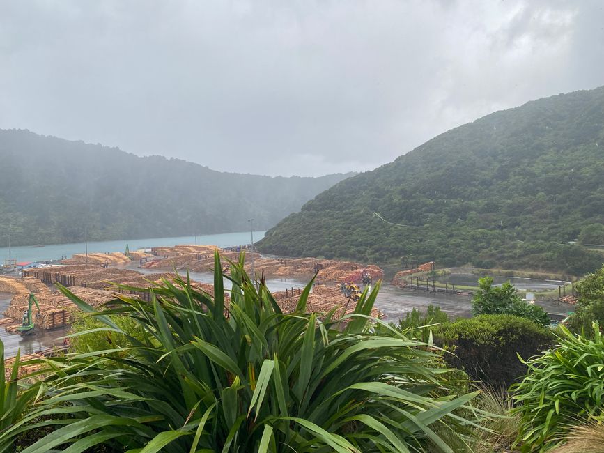 Nelson, Queen Charlotte drive, Picton, Kaikoura, Blenheim