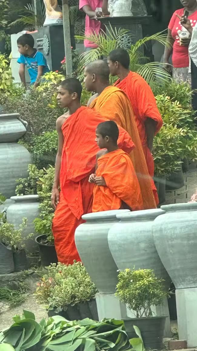 Partire per lo Sri Lanka