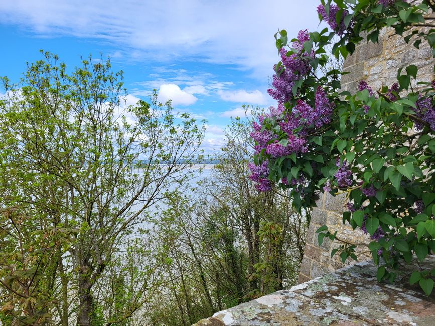 Near the Abbey