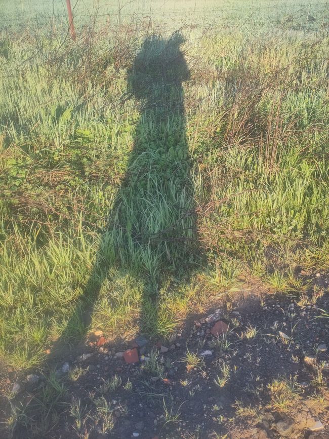 meine treue Begleiterin, zumindest wenn die Sonne scheint...