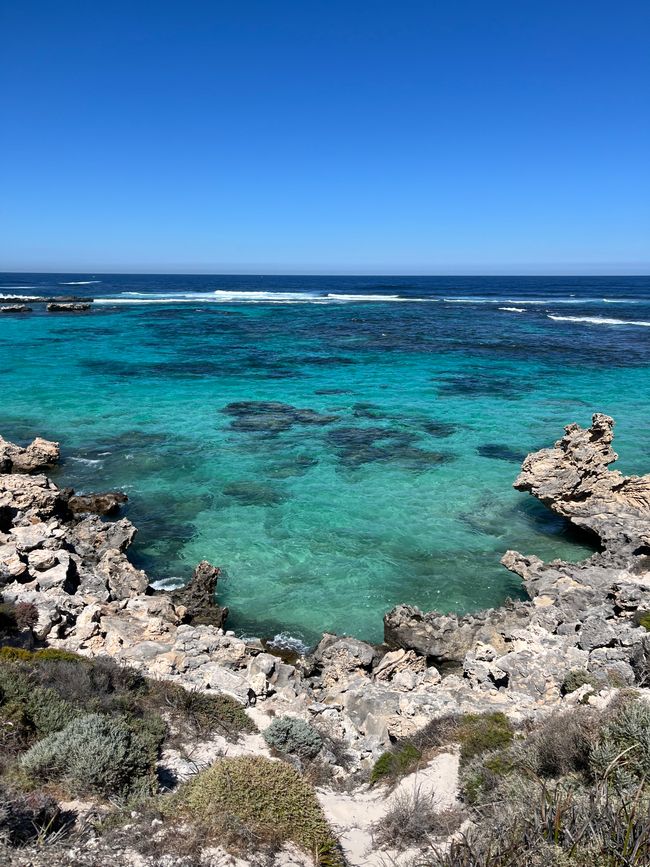 15.03.2025-26.03.2025 / Perth