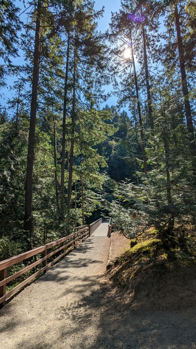 Englishman River Falls Provincial Park