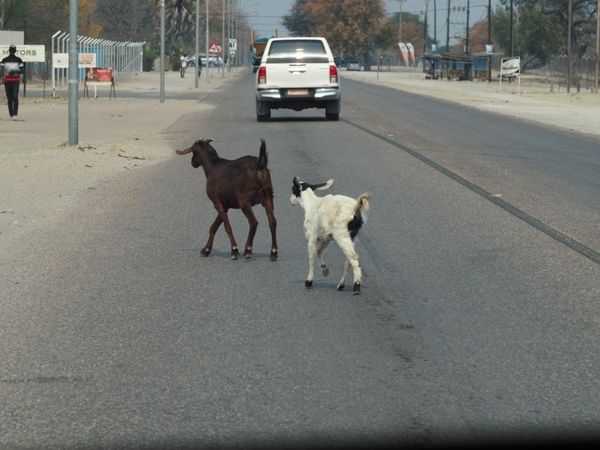 The return journey through the Kalahari