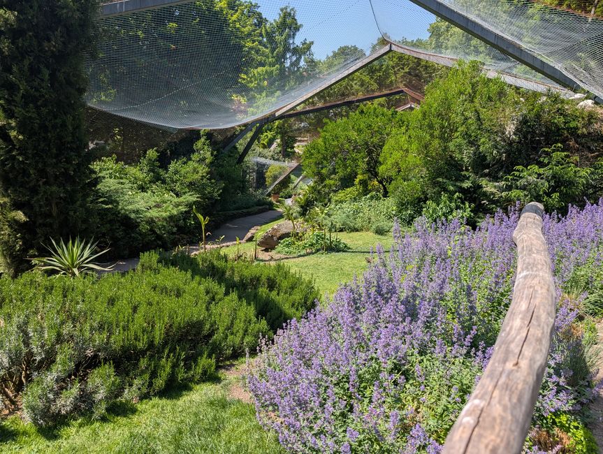 Ludwigsburg ● Blühender Barock Garten