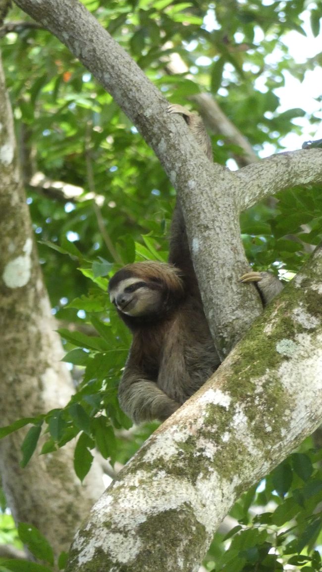 Costa Rica_Manzanillo & Ganduca National Wildlife Refuge