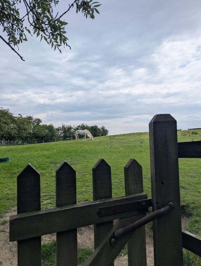 Wandern im Peak Distrikt