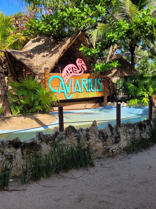 Día 30 de 175: Crucero alrededor del mundo - Mahahual/Costa Maya/México