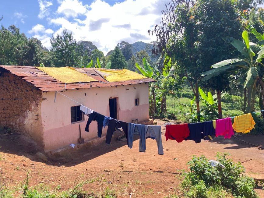 En las Montañas Usambara