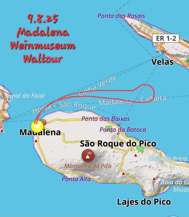 9.8.25 Madalena