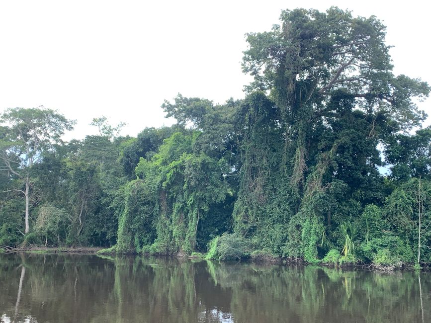 Trinidad (Chuchini Reservat)