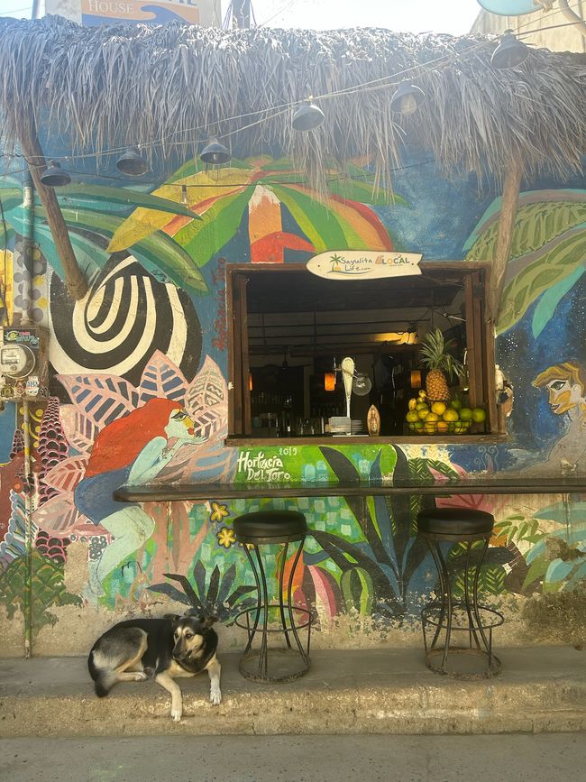 Sayulita und Puerto Vallarta… Vorweihnachtszeit