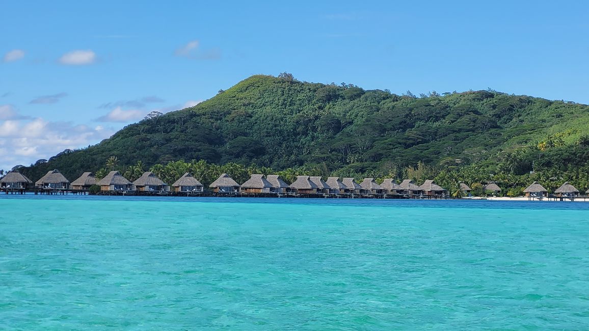 Esnórquel con raya y tiburones en el agua turquesa frente a Bora Bora.