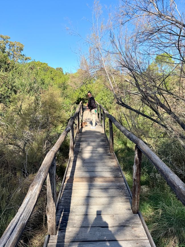 Die Wege durch das Reservat sind schön angelegt.