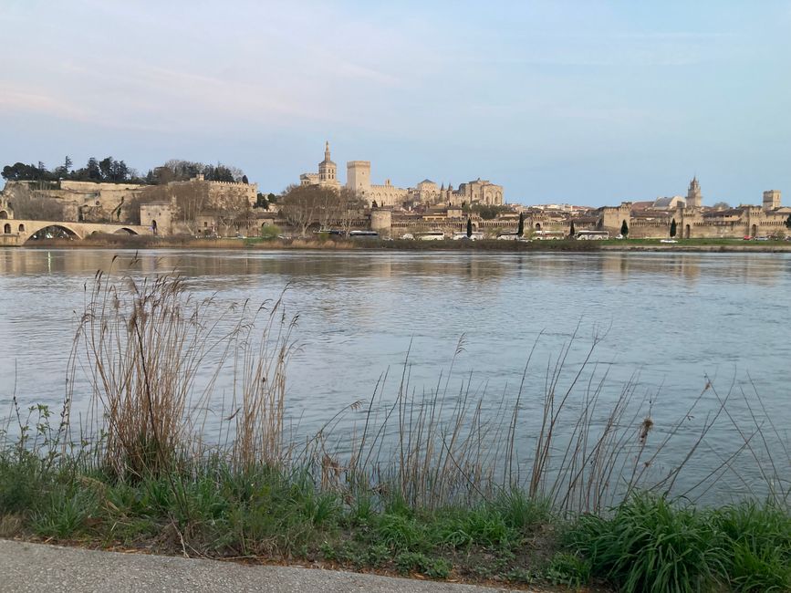 Zweiter Tag Avignon