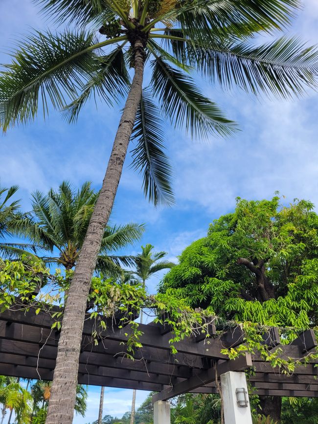 Día 63 y 64 de 175: Crucero alrededor del mundo - Papeete/Tahití