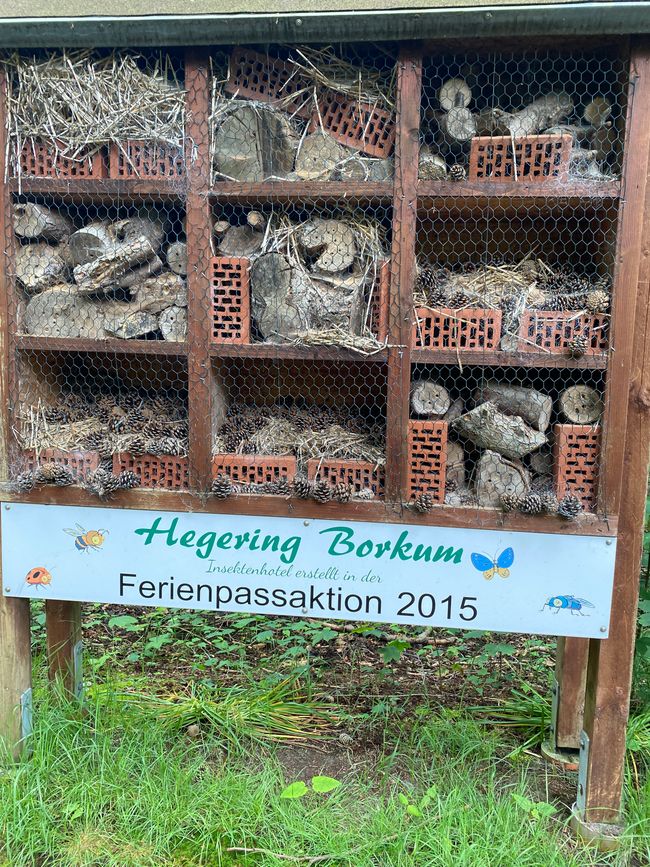 28.05.2024 Dienstag 