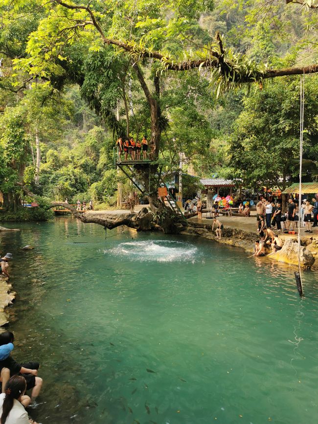 ... where some are already swimming vigorously ...