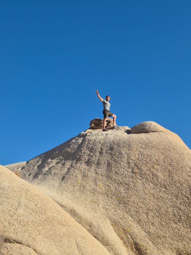 Joshua Tree
