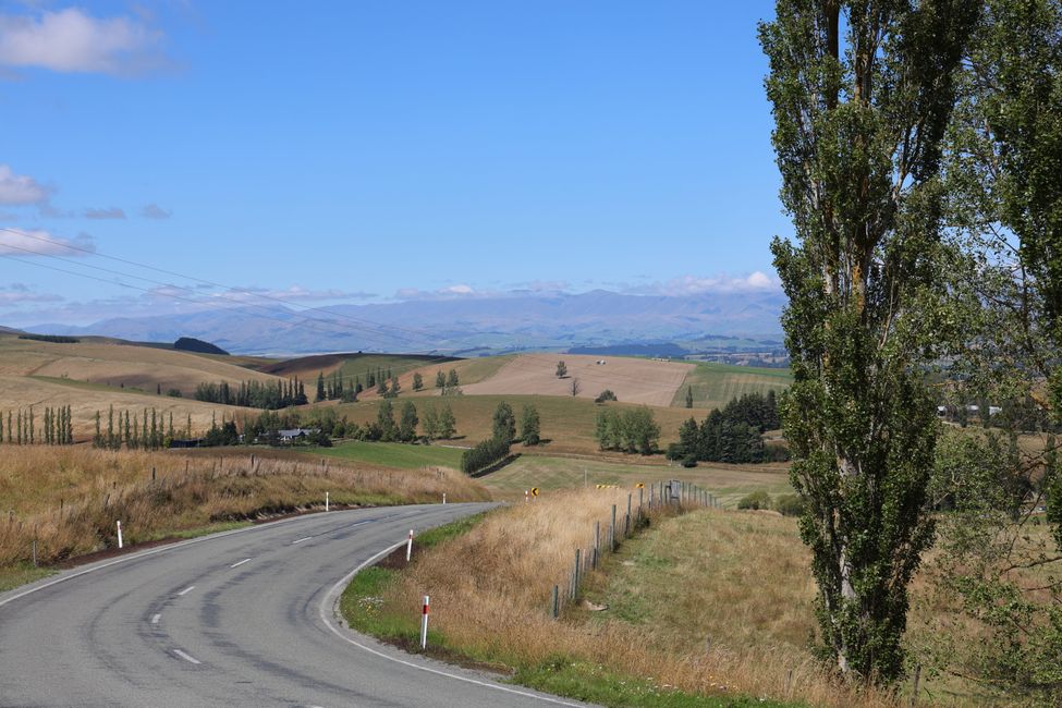 Überführungsfahrt CHC - Wanaka