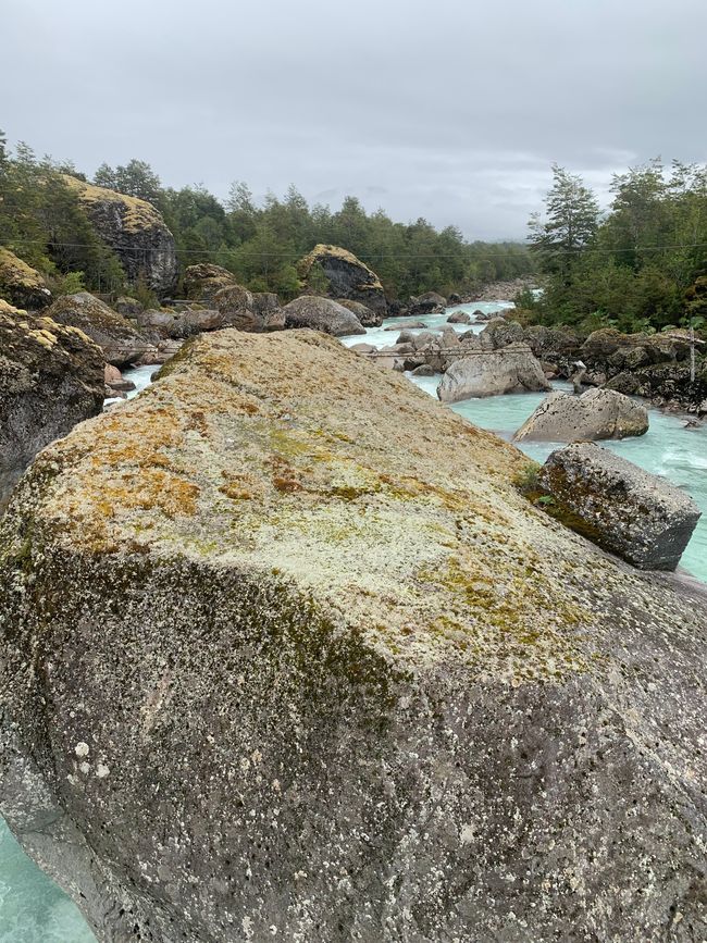Trip nach Patagonien Teil 7: Nationalpark Queulat