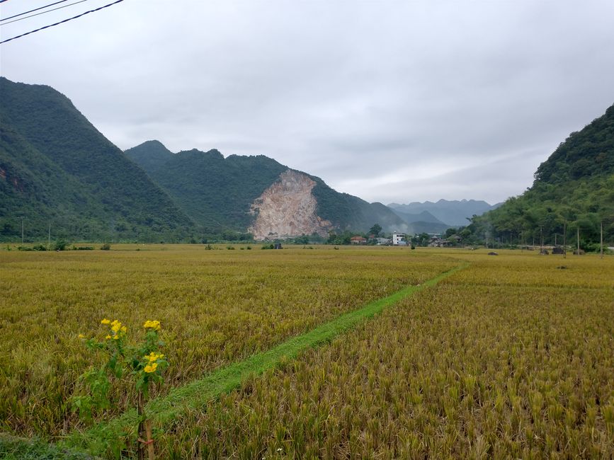 Mai Chau
