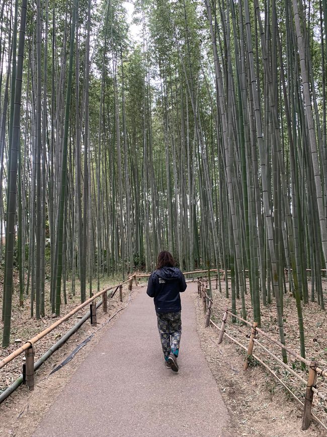 Kyoto