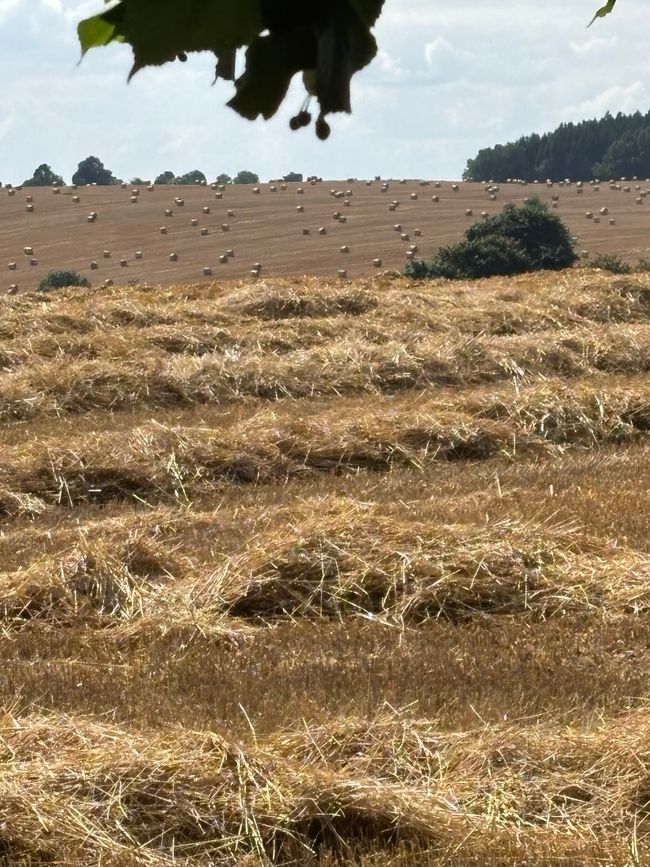 Viaje por Chequia
