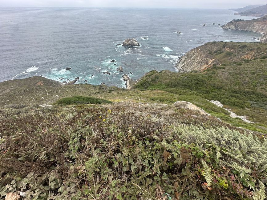 Weiter geht’s die Küste runter Santa Cruz/Monterey/Big Sur/Morro Bay/Santa Barbara/Malibu