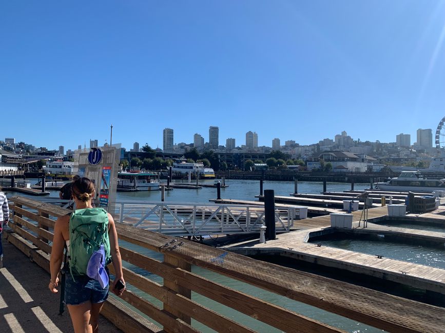 California Westcoast: Dillon Beach y SanFran