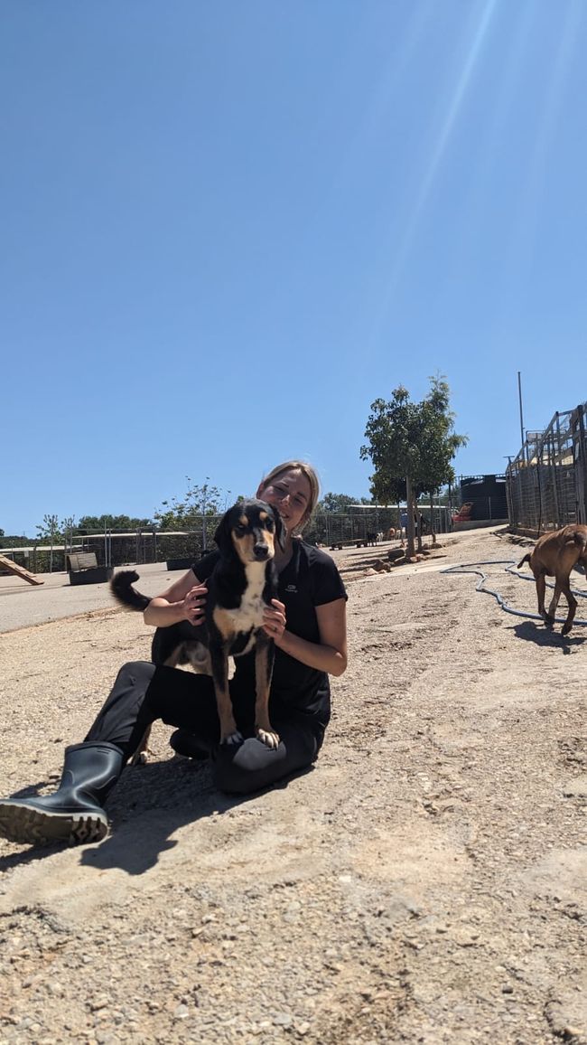 Nash 
