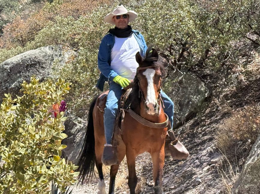 John Wayne reitet wieder