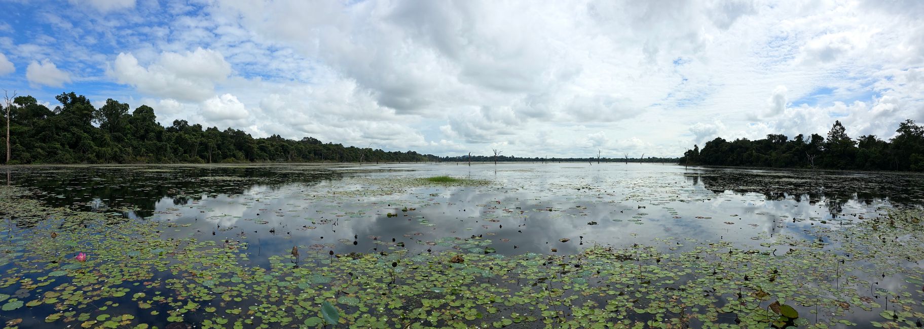 Alles kommt anders... - oder: Die Tempelanlagen von Angkor