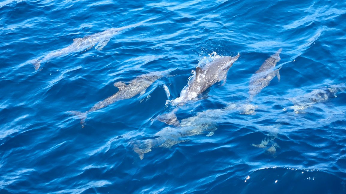 On the Marcopolo Blue from Lombok to Flores