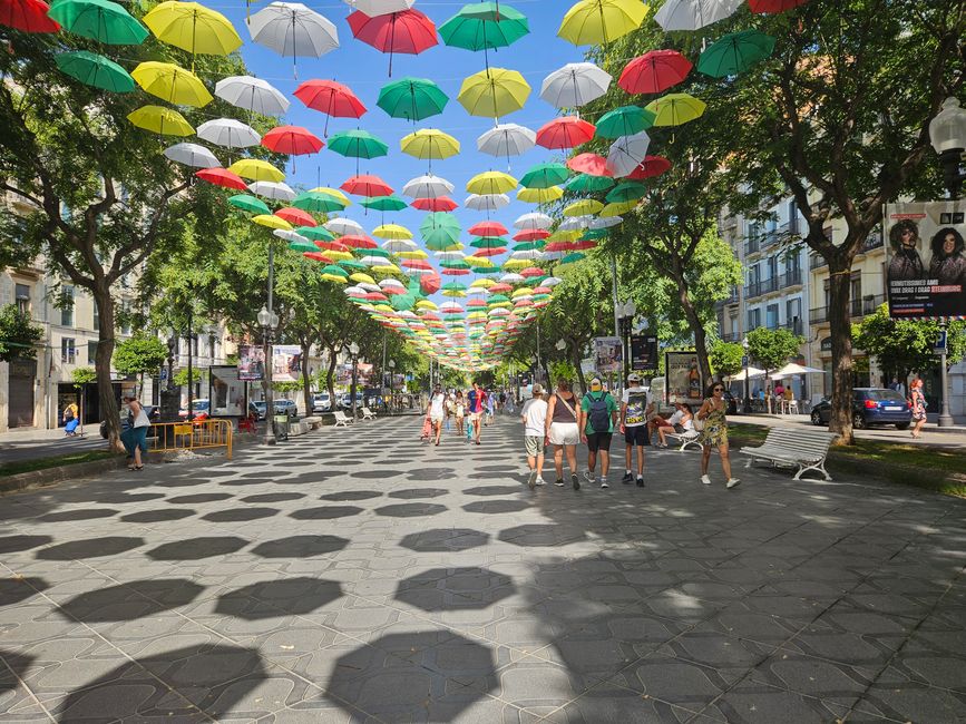 Ramblas 
