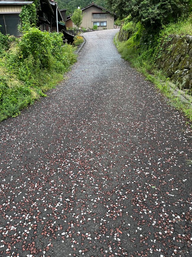 Magome to Tsumago (Hiking Trail)