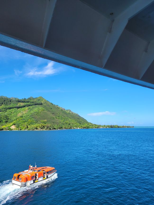 Día 67 de 175: Crucero alrededor del mundo - Moorea / Polinesia Francesa