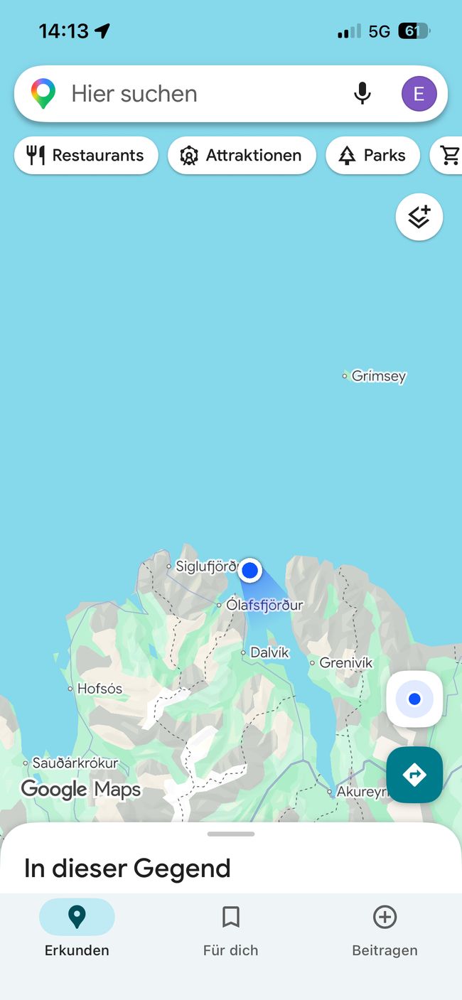 Whale Watching
