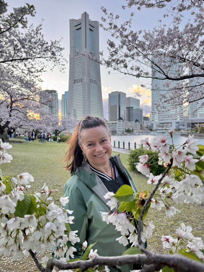Parte 7
BENVENUTO IN GIAPPONE 🇯🇵
TOKYO