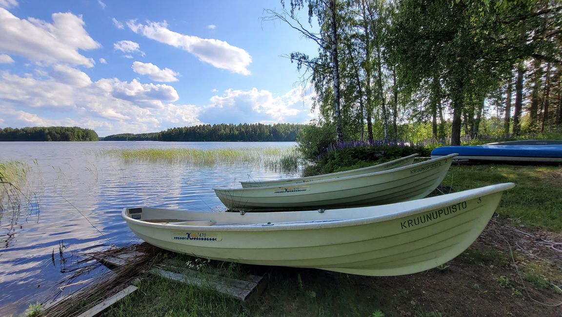 Finlandia 31 de mayo - 14 de junio de 2024 / 7 de junio