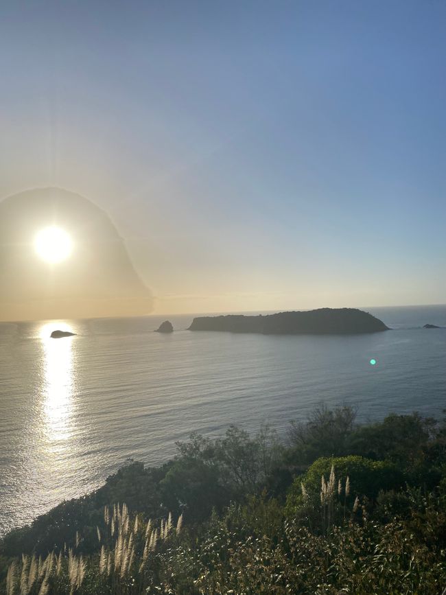 Coromandel loop