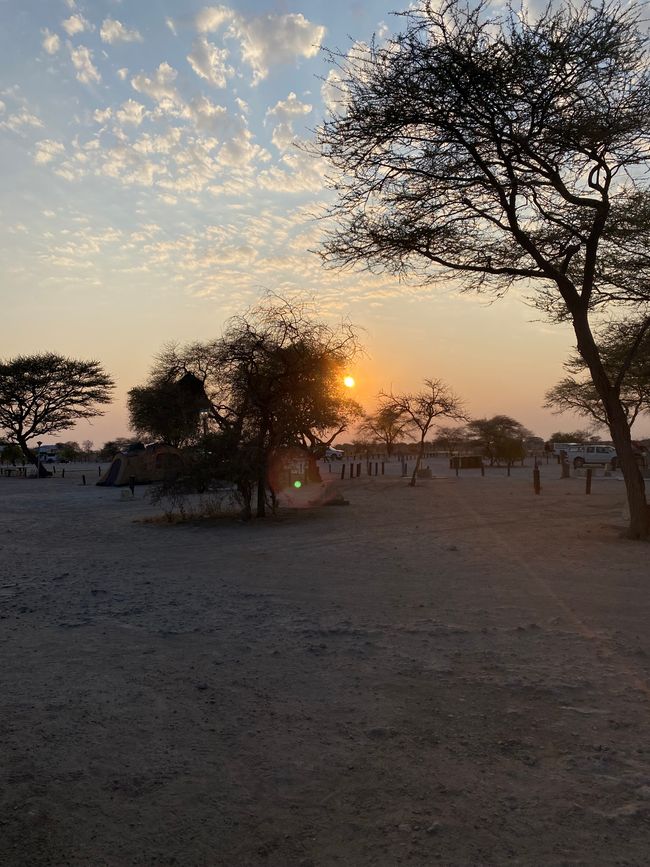 Ethosa Nationalpark 🐘🦒