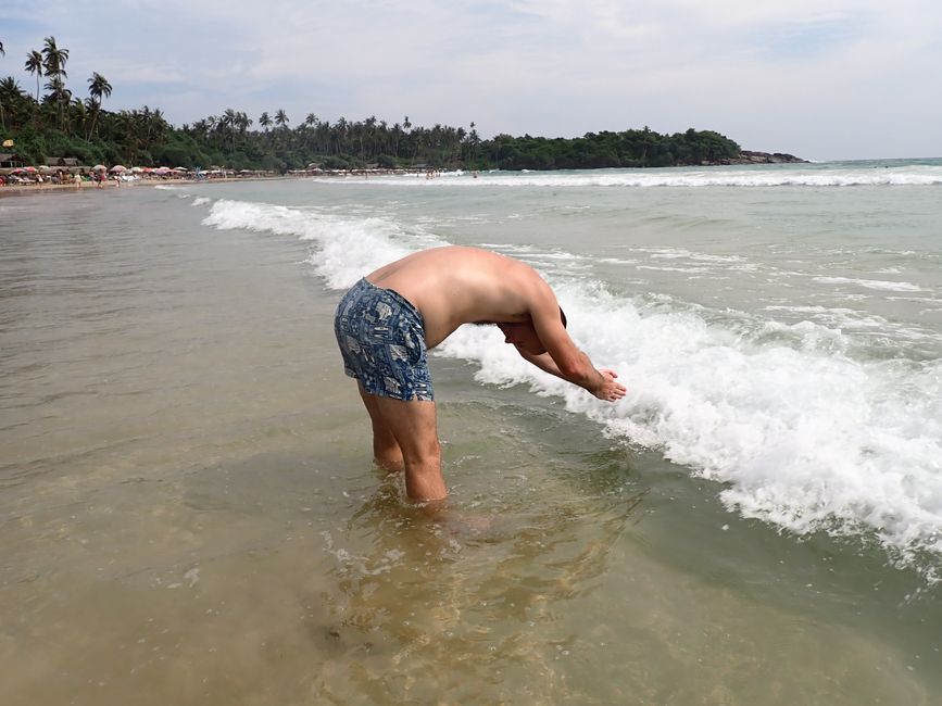 Matara - Mauvais temps, pas de baleines, mais des Salties (crocodiles d'eau salée)