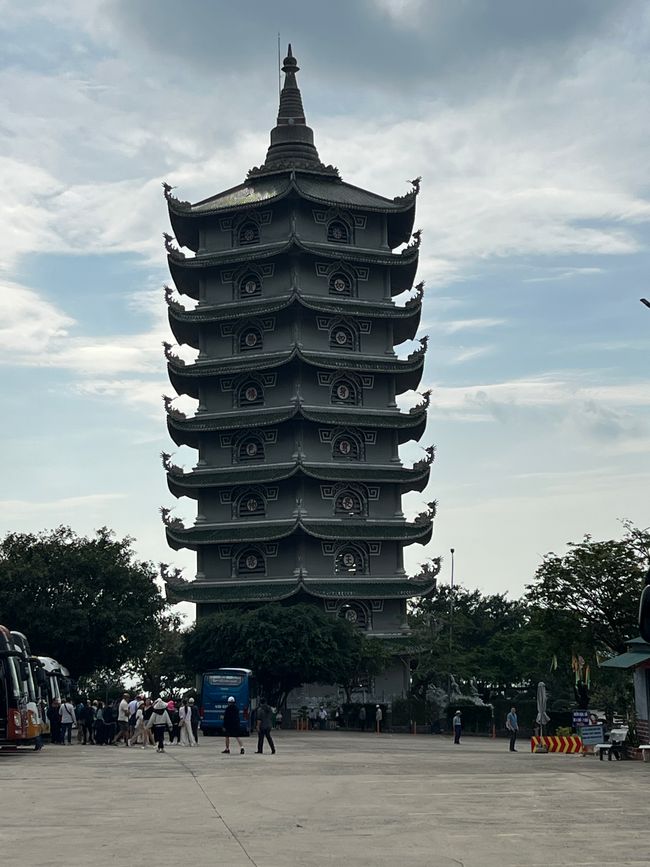 Tag 5 - Hoi An: Ein Tag mit Affen, Einhörnern und vielen Überraschungen