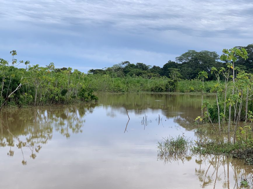 Trinidad (Chuchini Reservat)