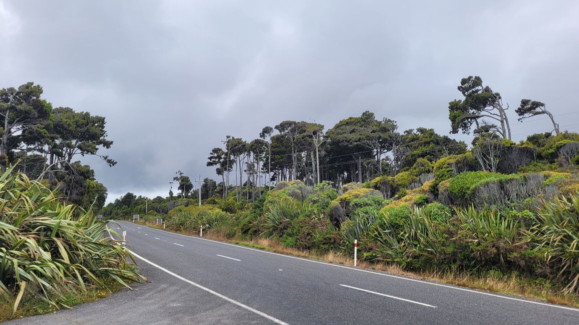 29.Januar-27.Februar 2025 Neuseeland
13.Februar