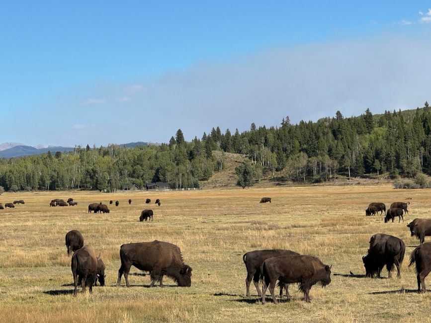 Von Salt Lake City zum Grand Teton NP